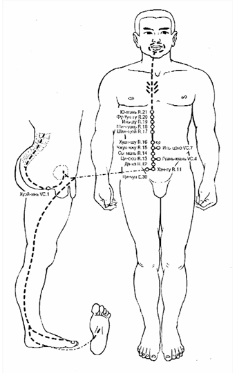 Меридианы человека китайская медицина схема и направления